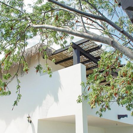 Hotel Vista La Ribera Zewnętrze zdjęcie